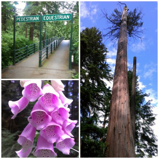 part 3 - stanley park