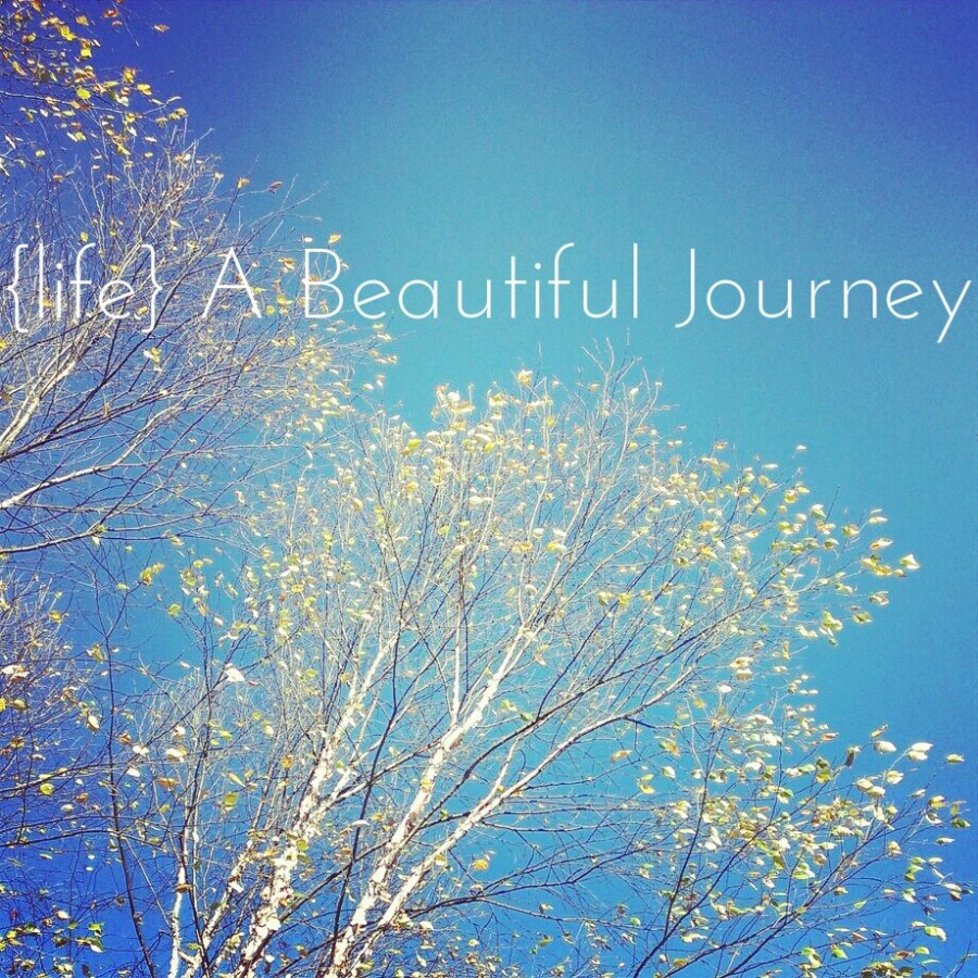 998394_192459957578897_883905444_n