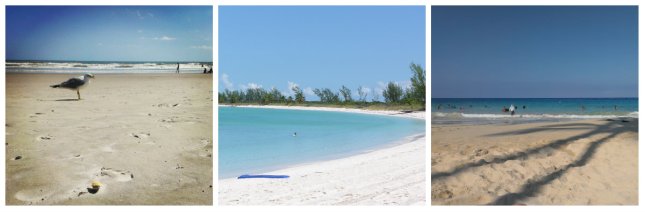 Left: Cocoa Beach - Middle: Castaway Cay - Right: Hawaii