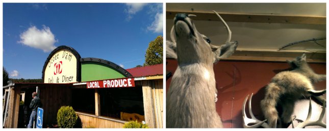 Those stared down at me as I ate my lunch...