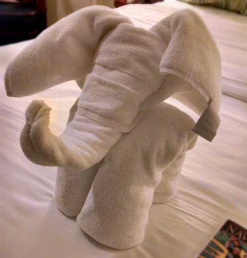 He stayed with us for the entire cruise :-)