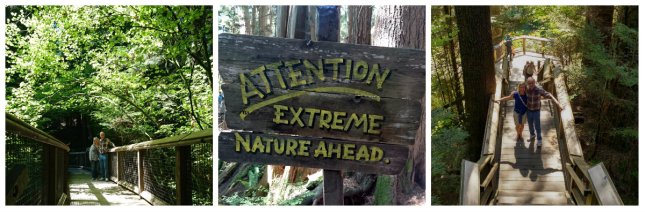 capilano nature walk