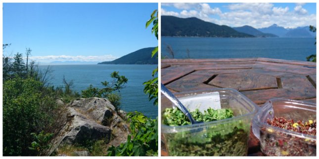 whytecliff park picnic